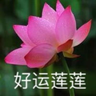 仙魔道九游官方版下载